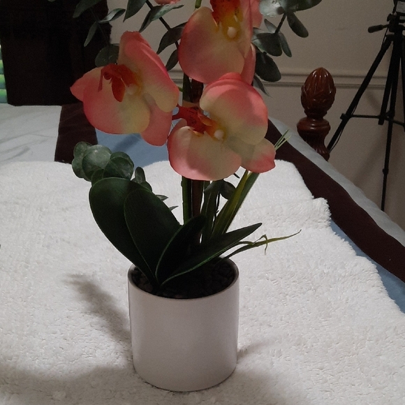 Pink and Green Floral Arrangement in White Pot - Picture 6 of 8